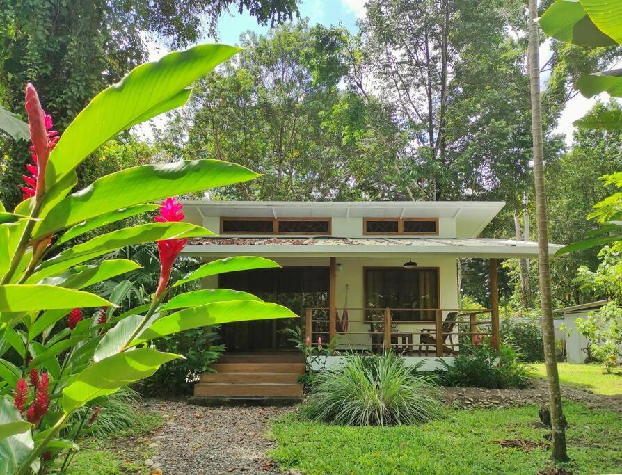 Casa Lele modern house
