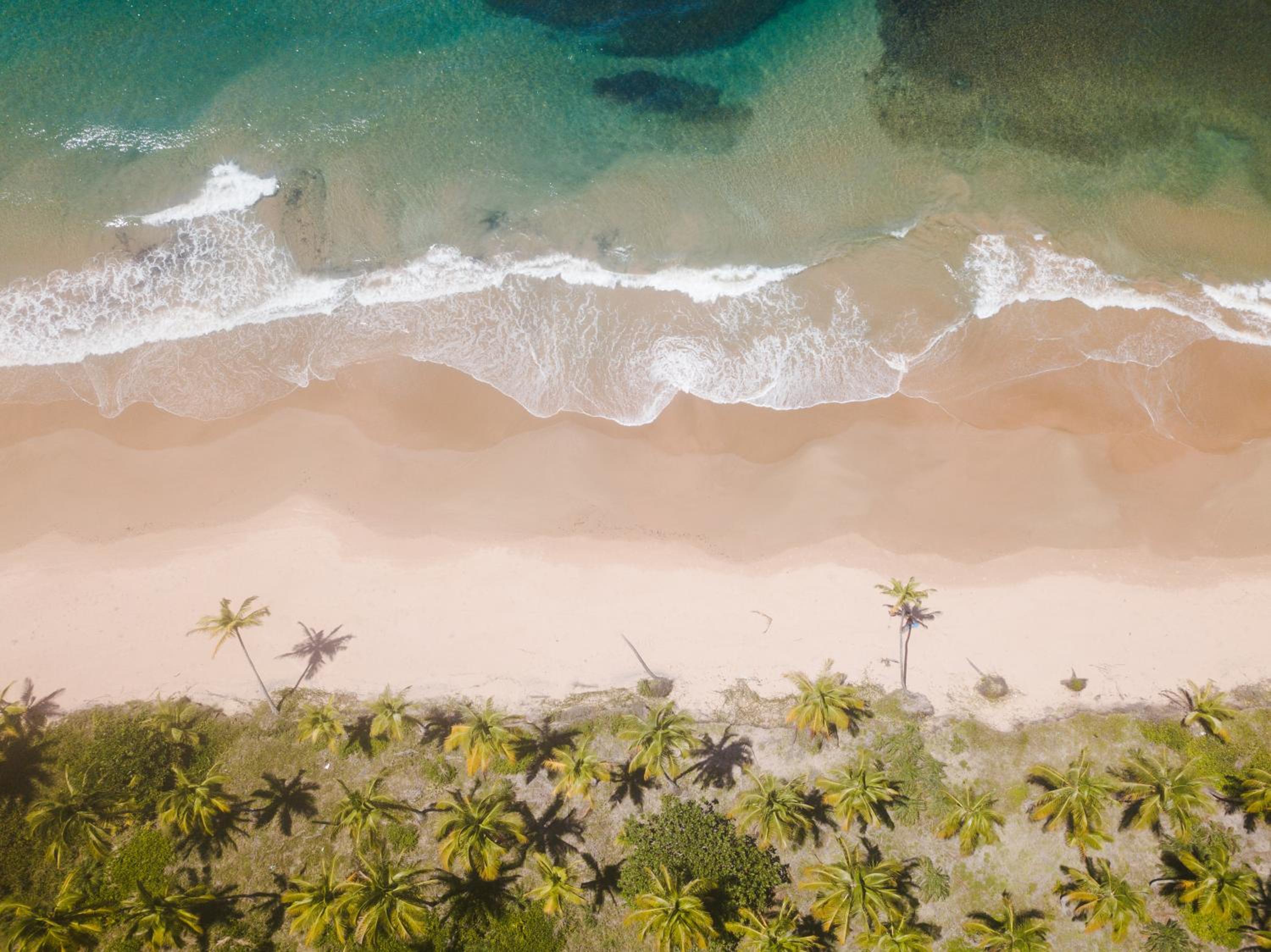 Casa Canoa - Praia de Algodões