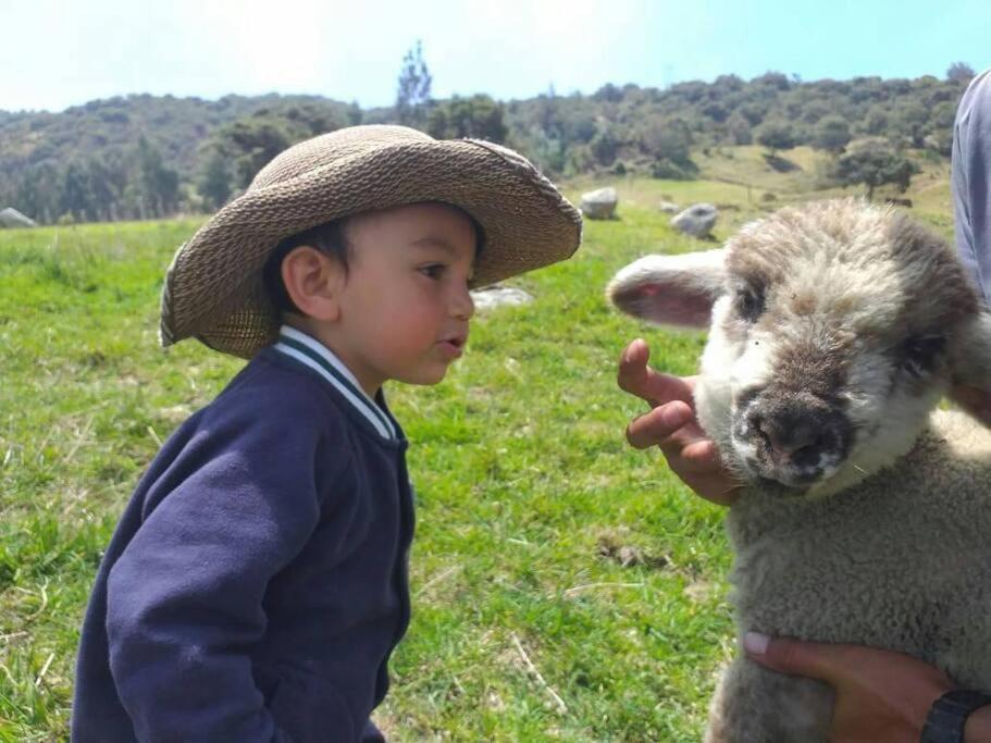 Rancho Santa Inés Completo