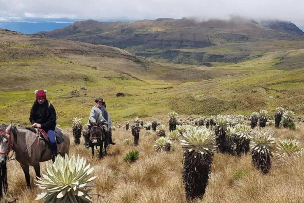 Rancho Santa Inés Completo