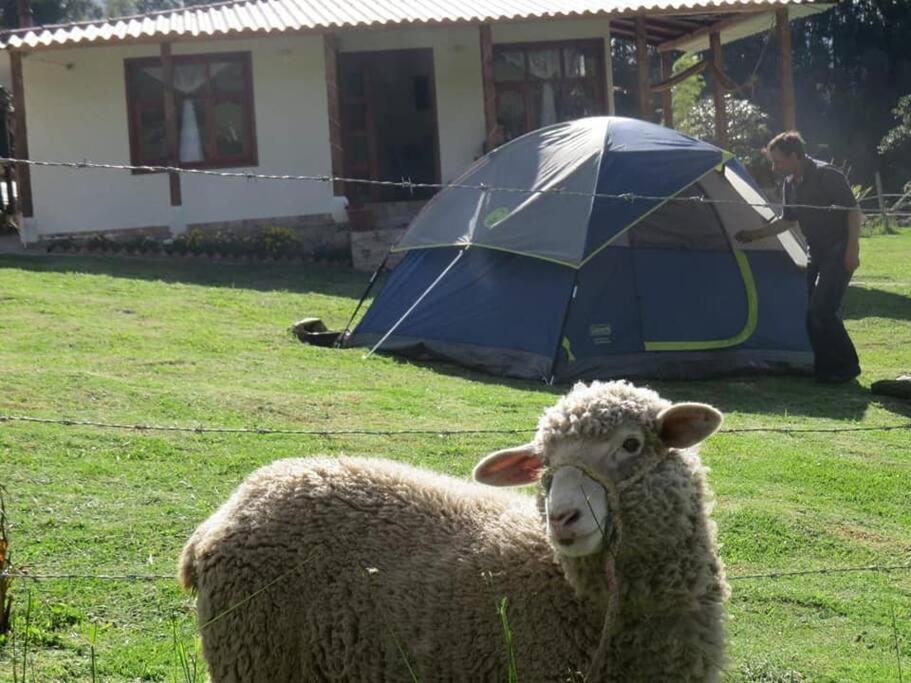 Rancho Santa Inés Completo
