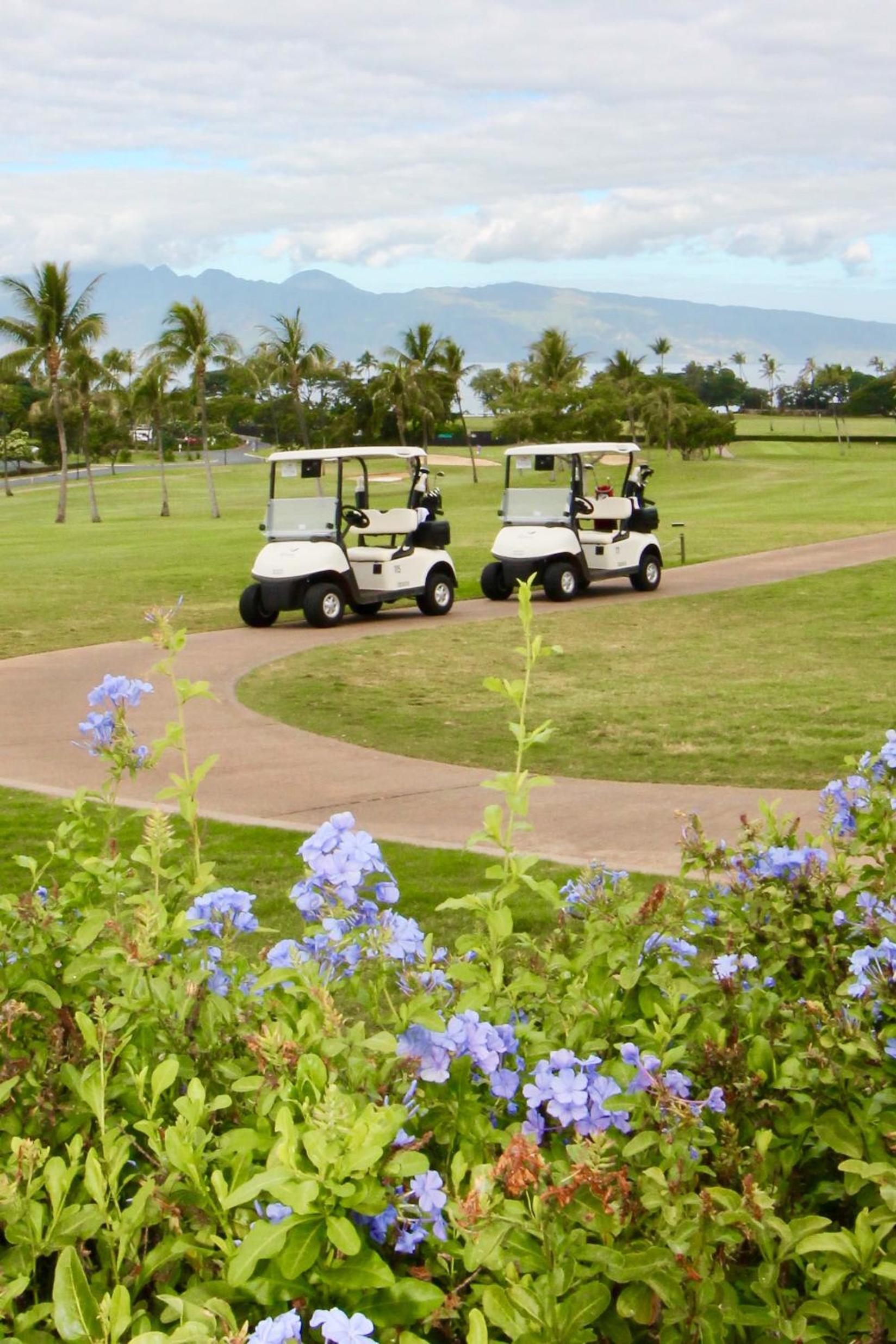Kaanapali Beach Vacation Rental