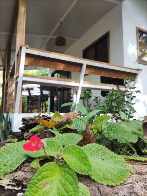 Little Yemanja Bungalow