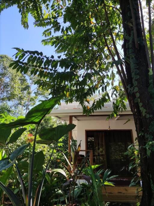 Little Yemanja Bungalow