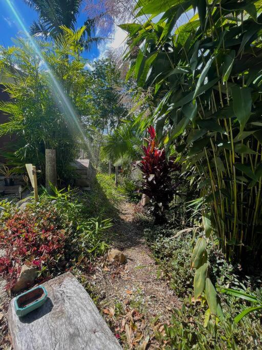Golden Retreat Ultimate 5 Bed - Villa & Guesthouse