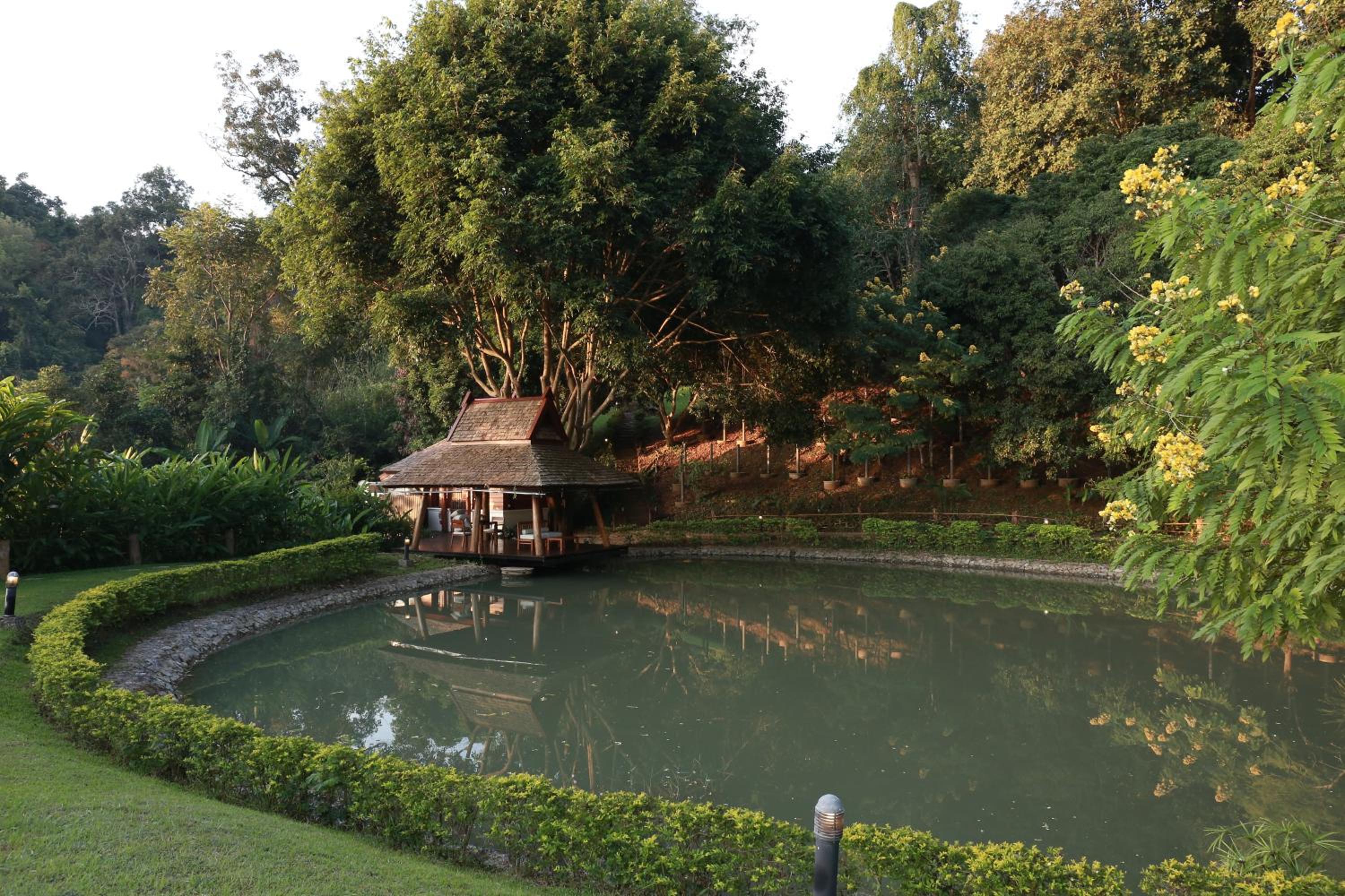 Vanilla hill (hill lodge)
