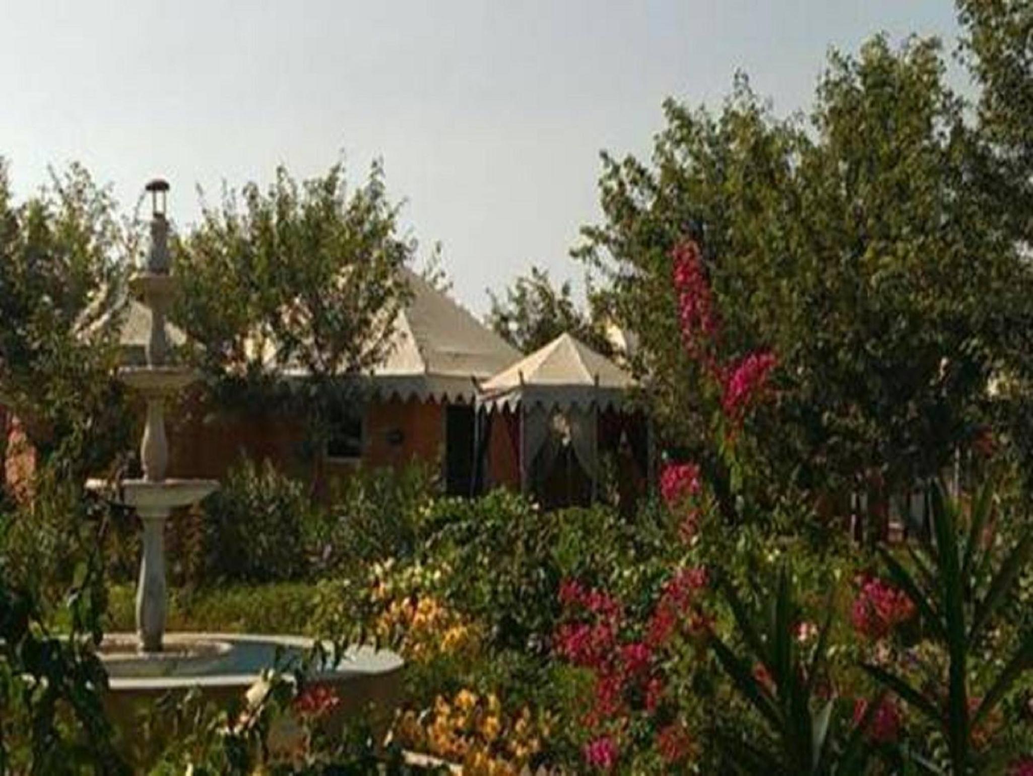 garden