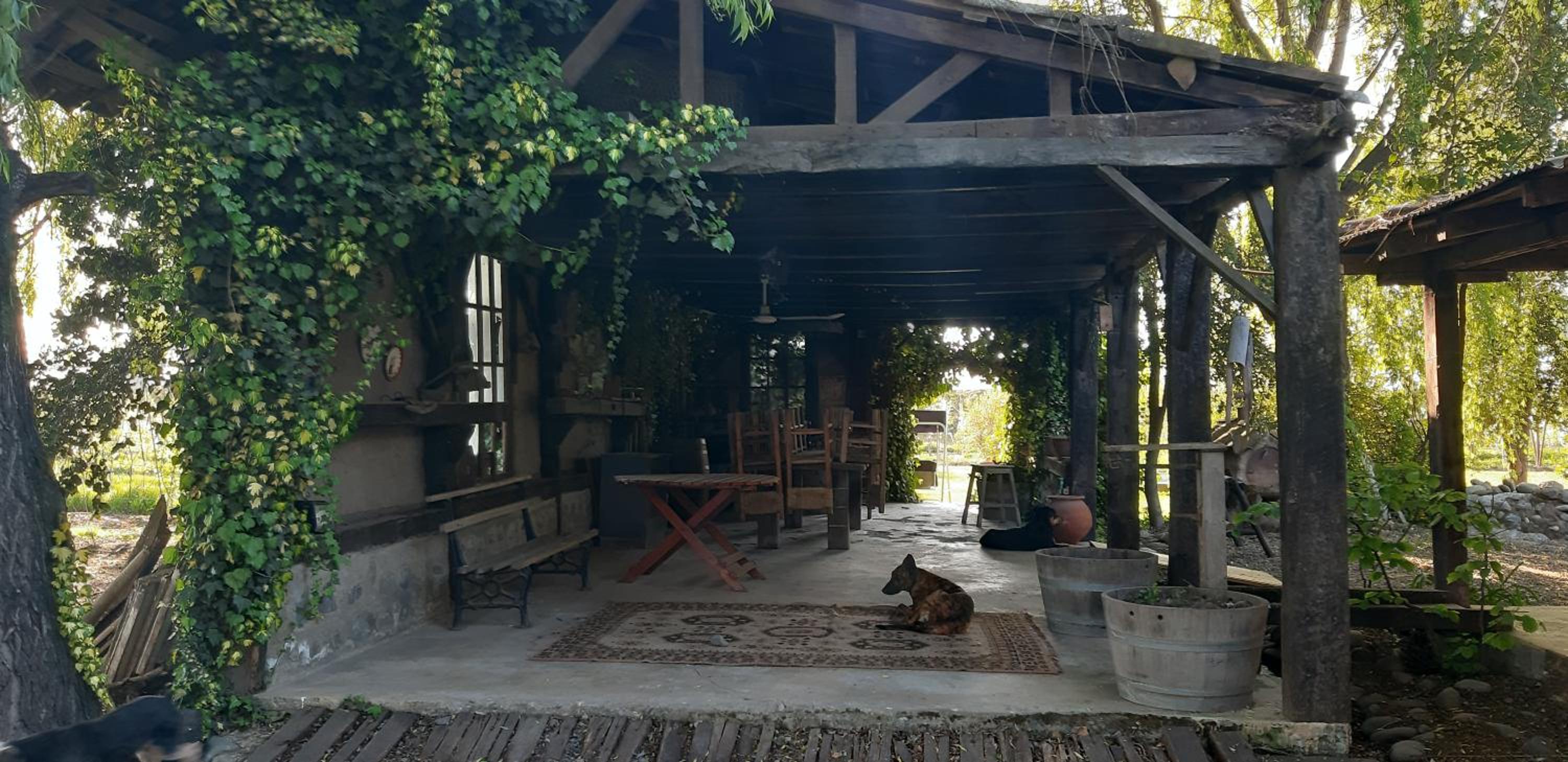 El Carmen de Los Guindos, Las Choicas, Curicó