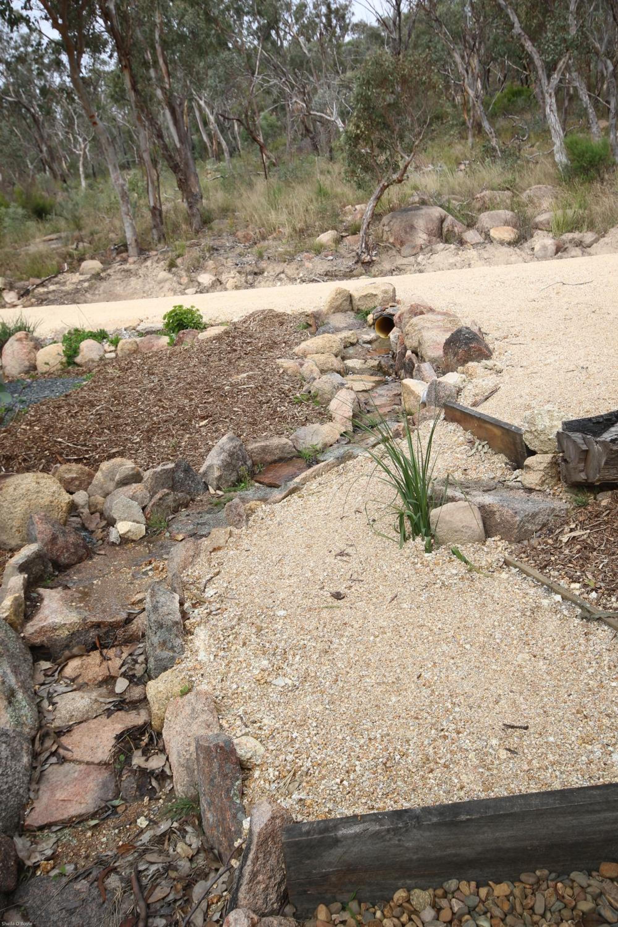 Photo 44