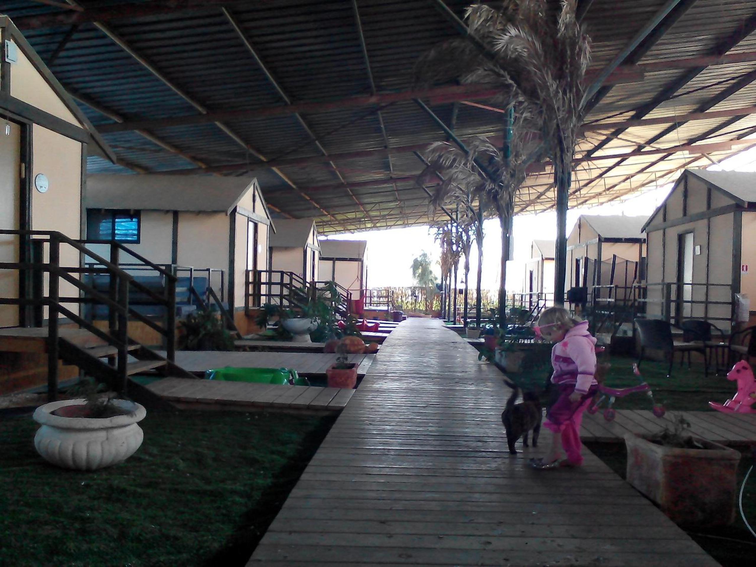 Adam's Farm