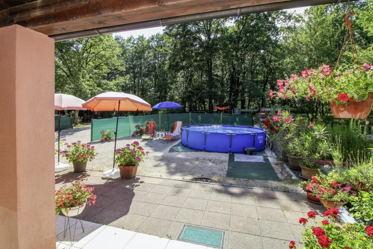 Dalibor in Jakačići - Haus für 2-4 Personen view 5
