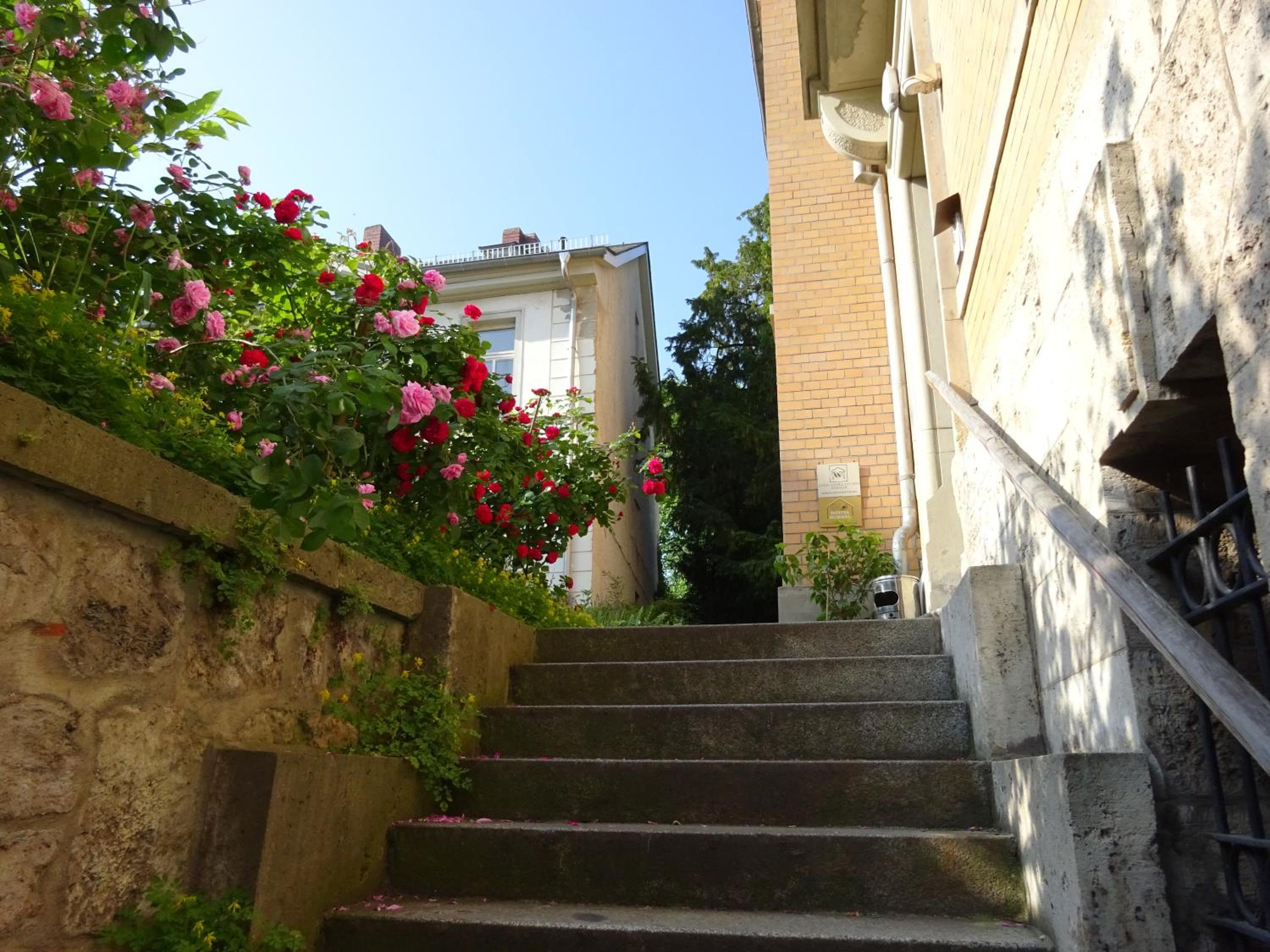 Hummel Hostel - Historische Stadtvilla mit Garten