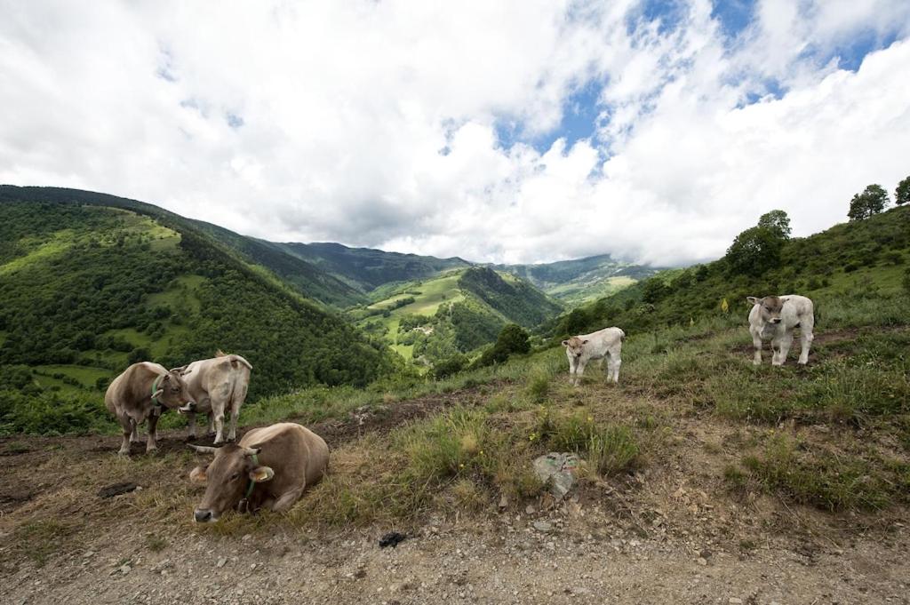 other