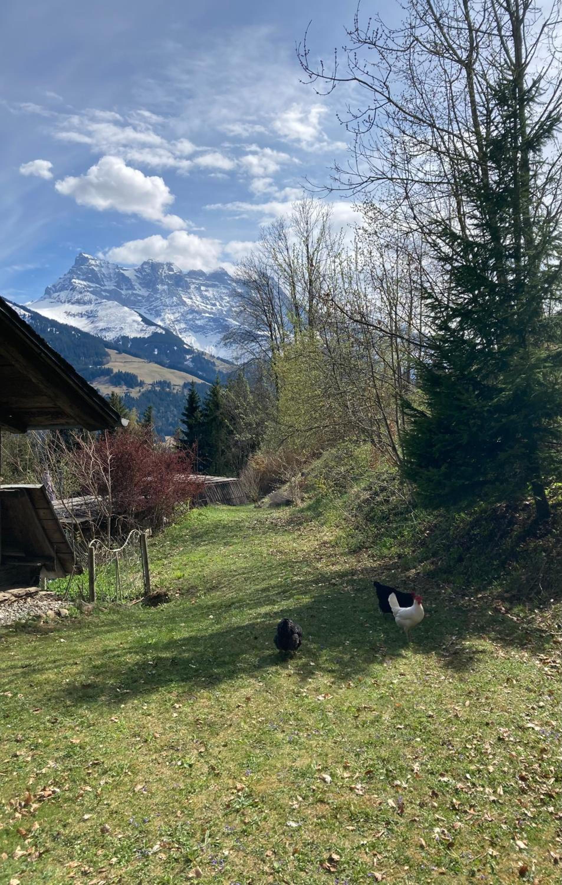 Chalet Ingas