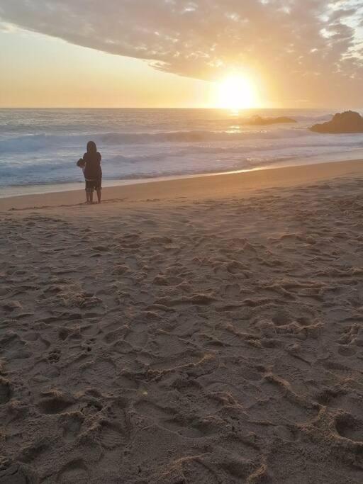Hermoso! Costa Algarrobo, combina playa y bosque