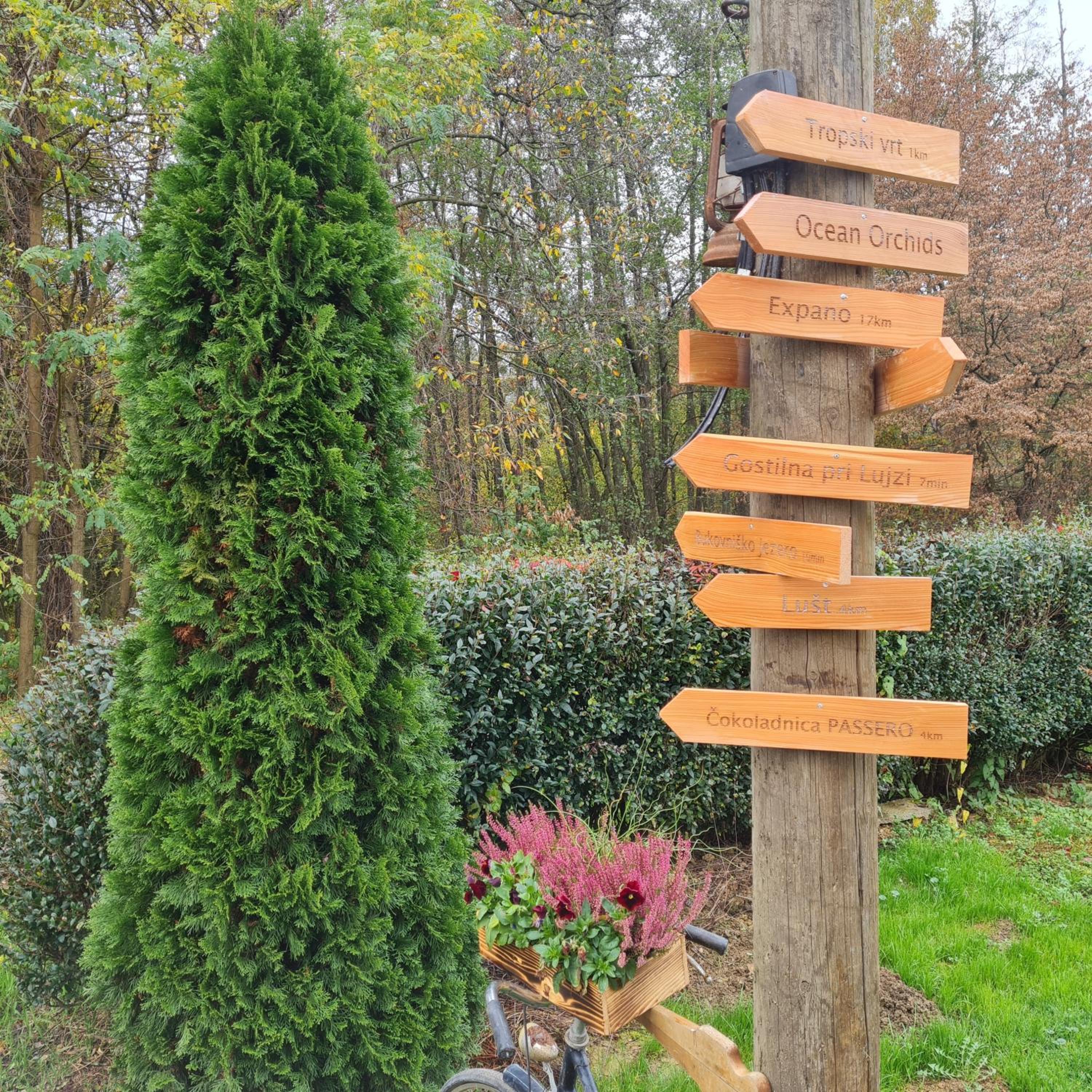 Photo 22