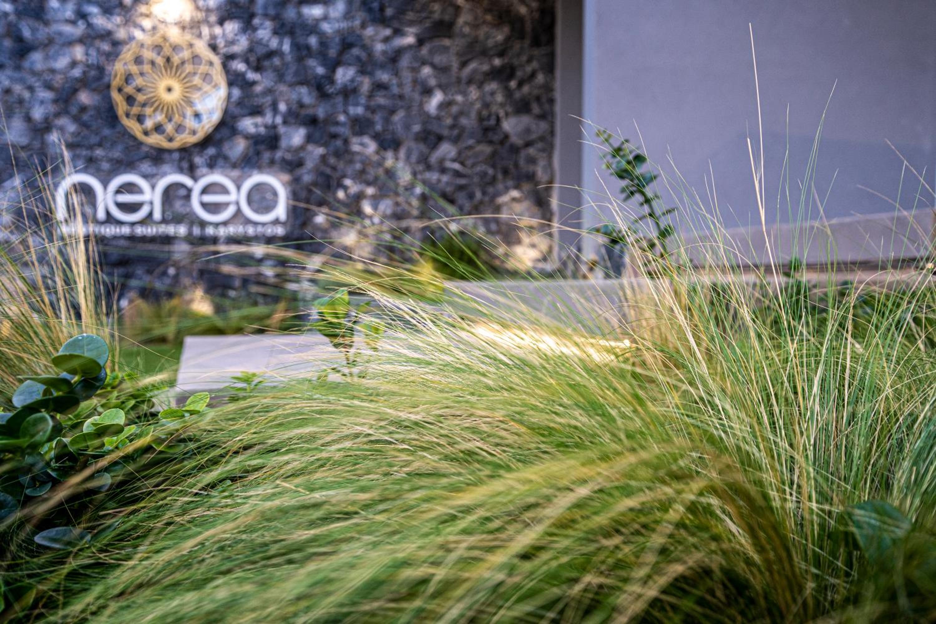 Nerea Boutique Suites Karystos