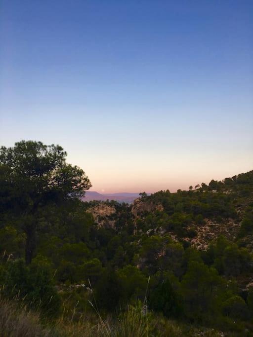Casa De Madera, A home from home. view 2