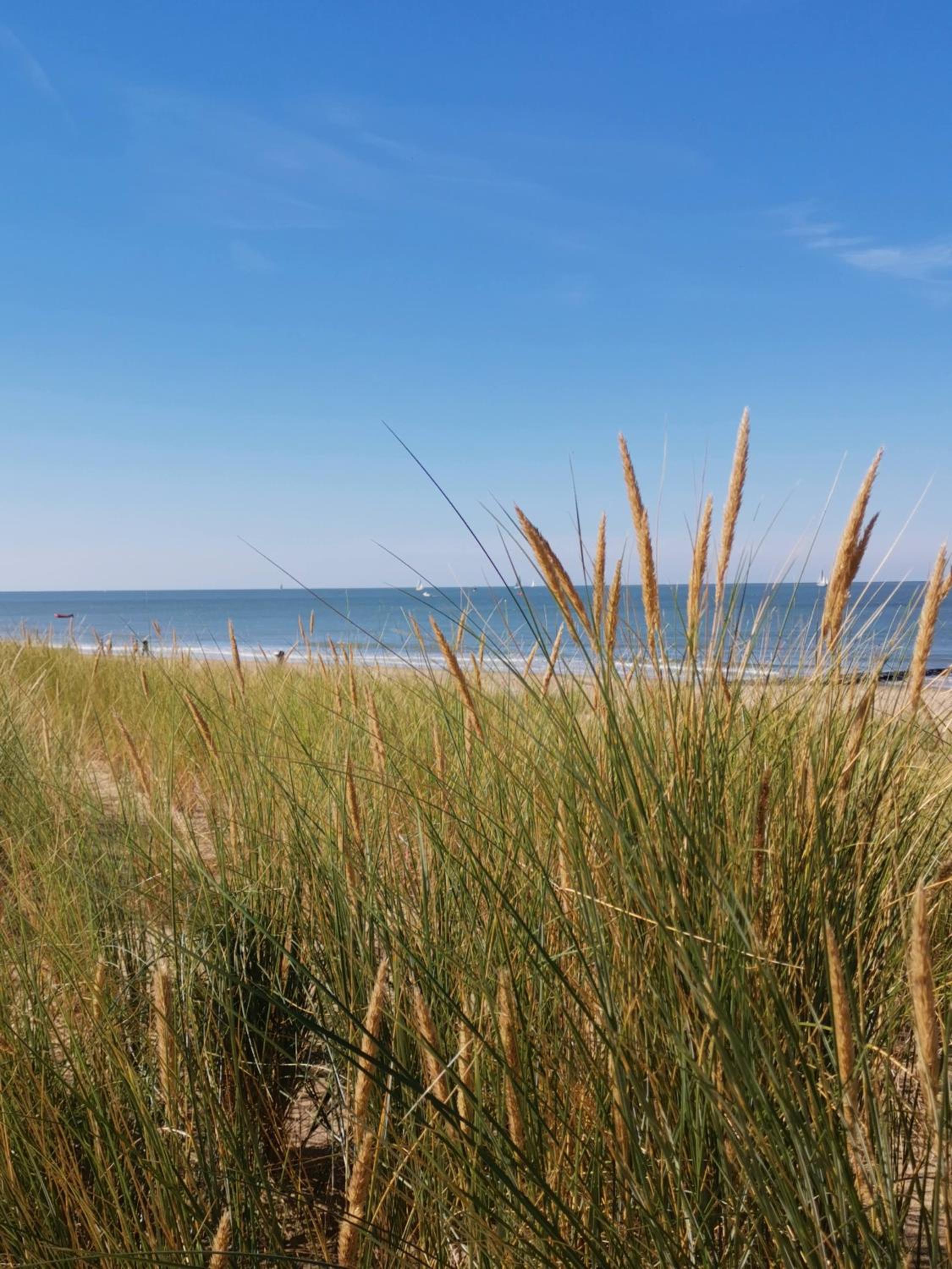 Seaside