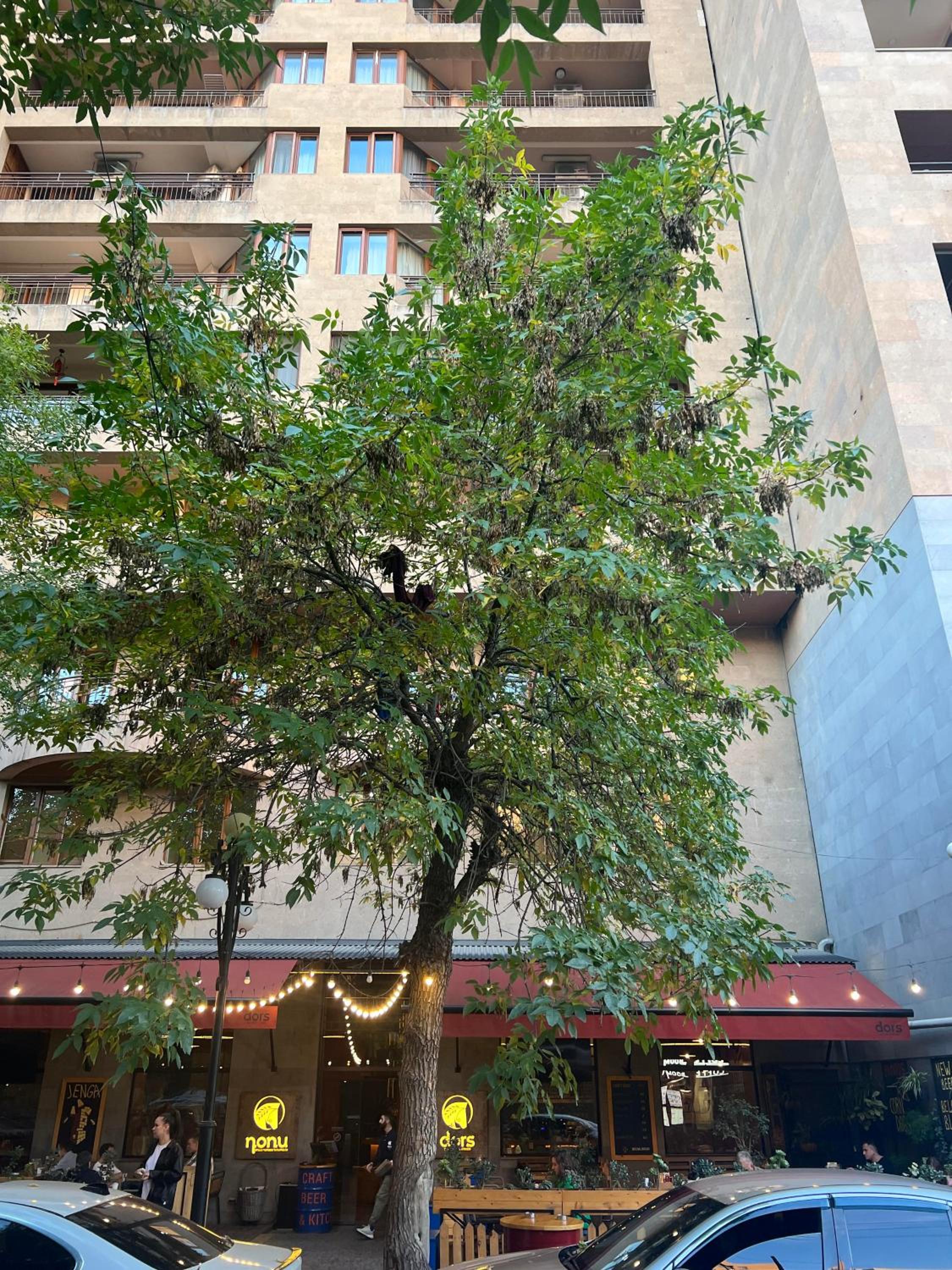 Luxury Apartments in the Centre with 2 Bedrooms & 2 Bathrooms by Sweet Home