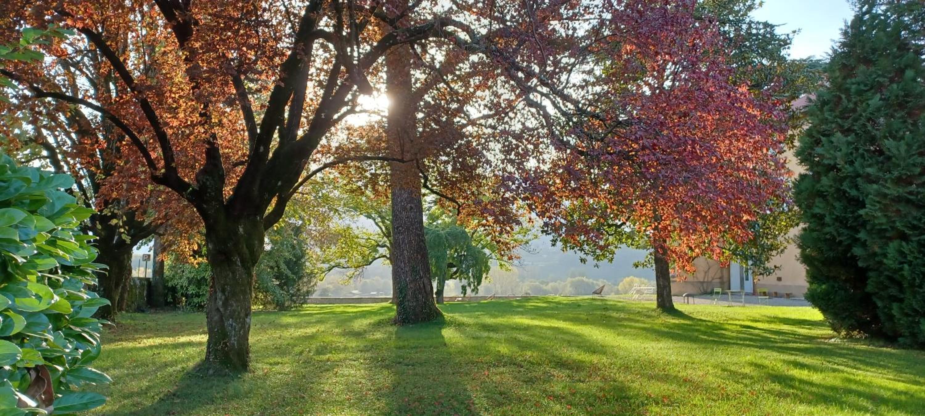 Château La Violette view 4