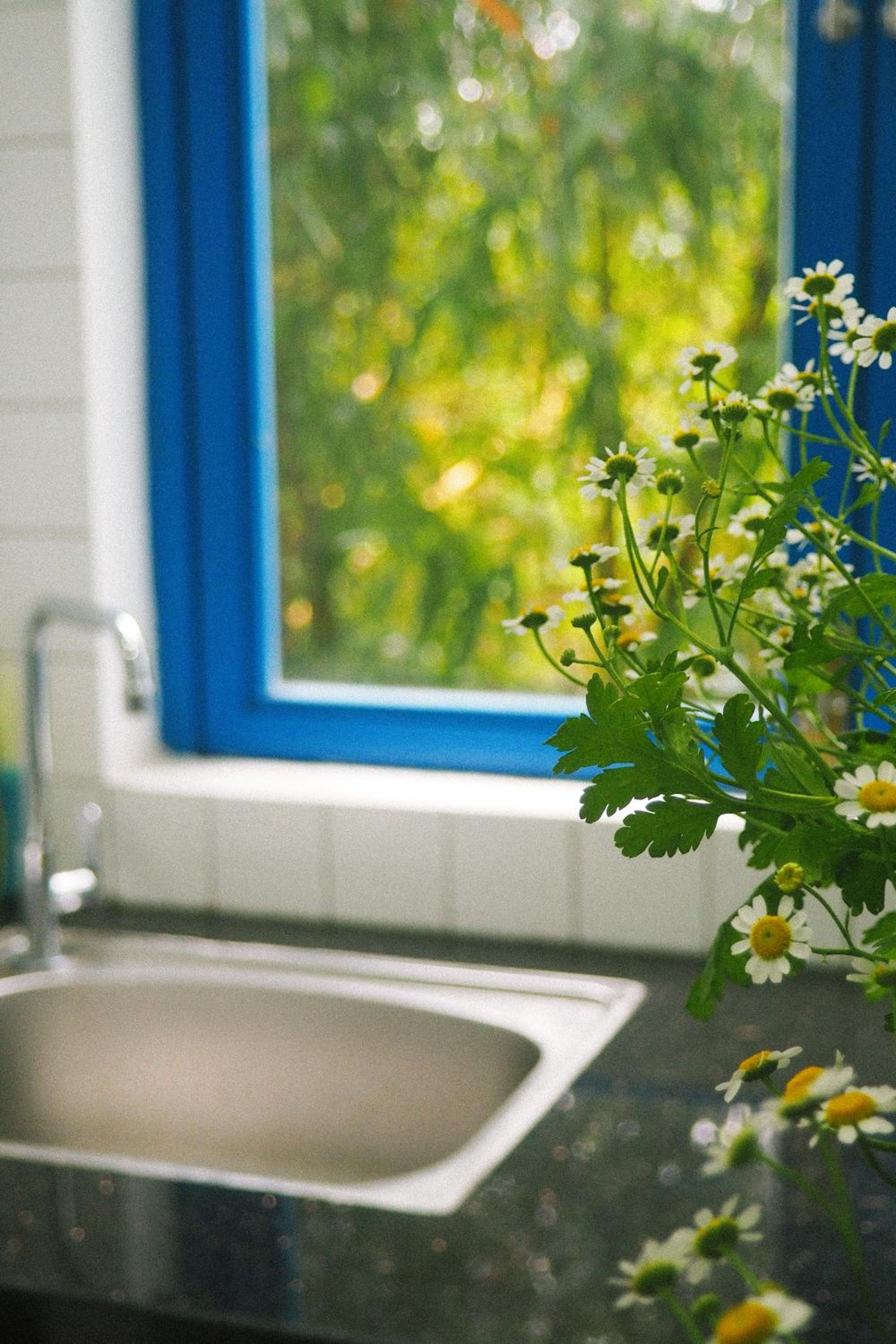 Photo 42
