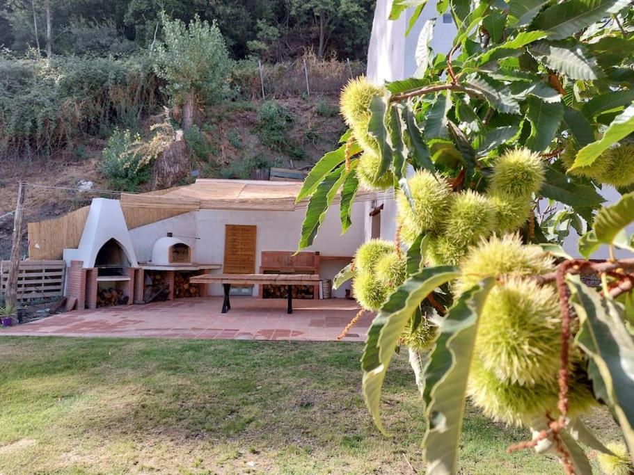 Casa Barranco