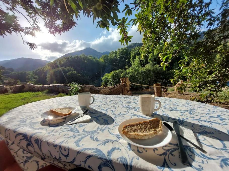 Casa Barranco