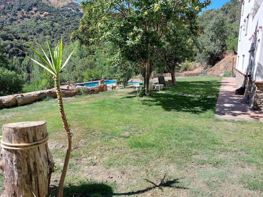 Casa Barranco