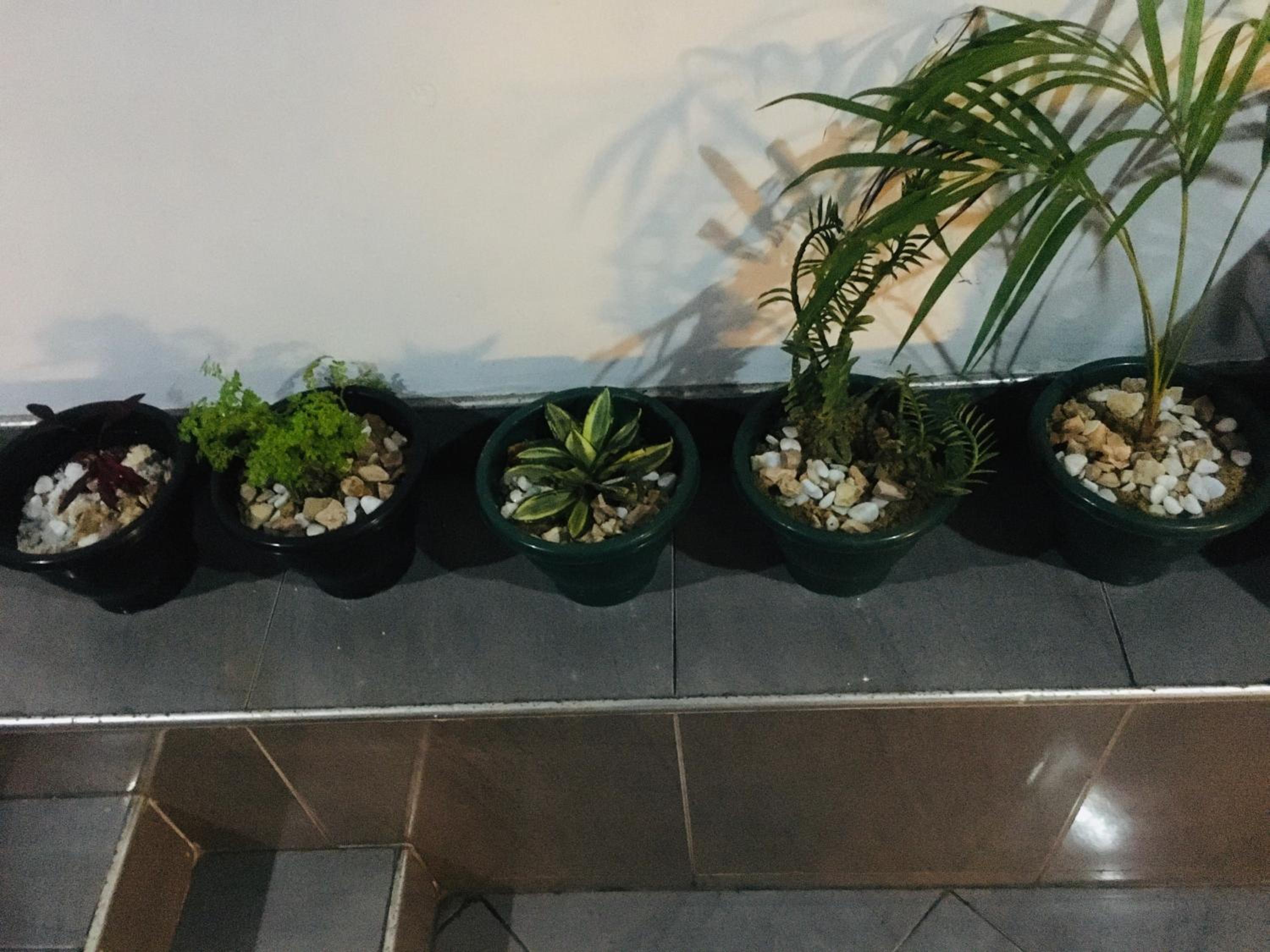 Photo 46