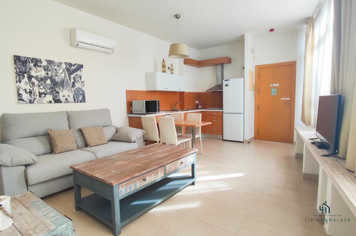 Living4Malaga Suites Superior