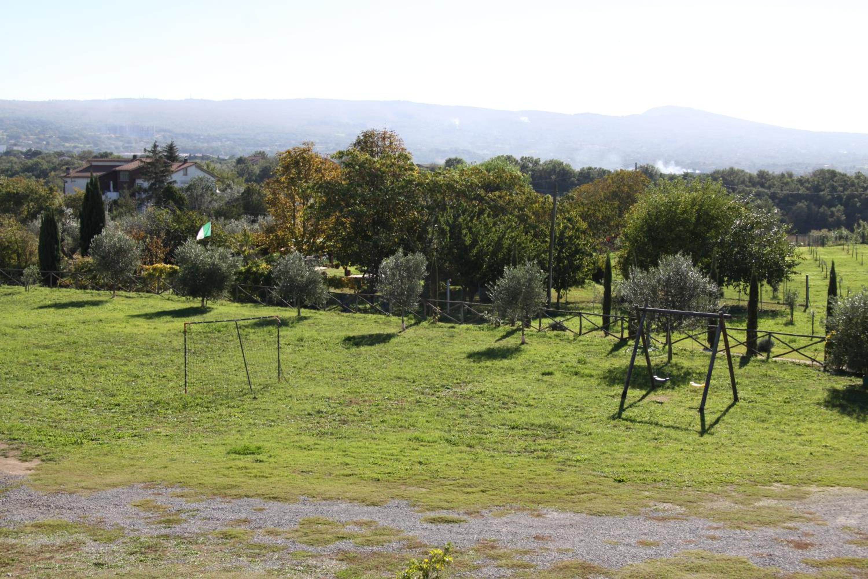 Photo 47