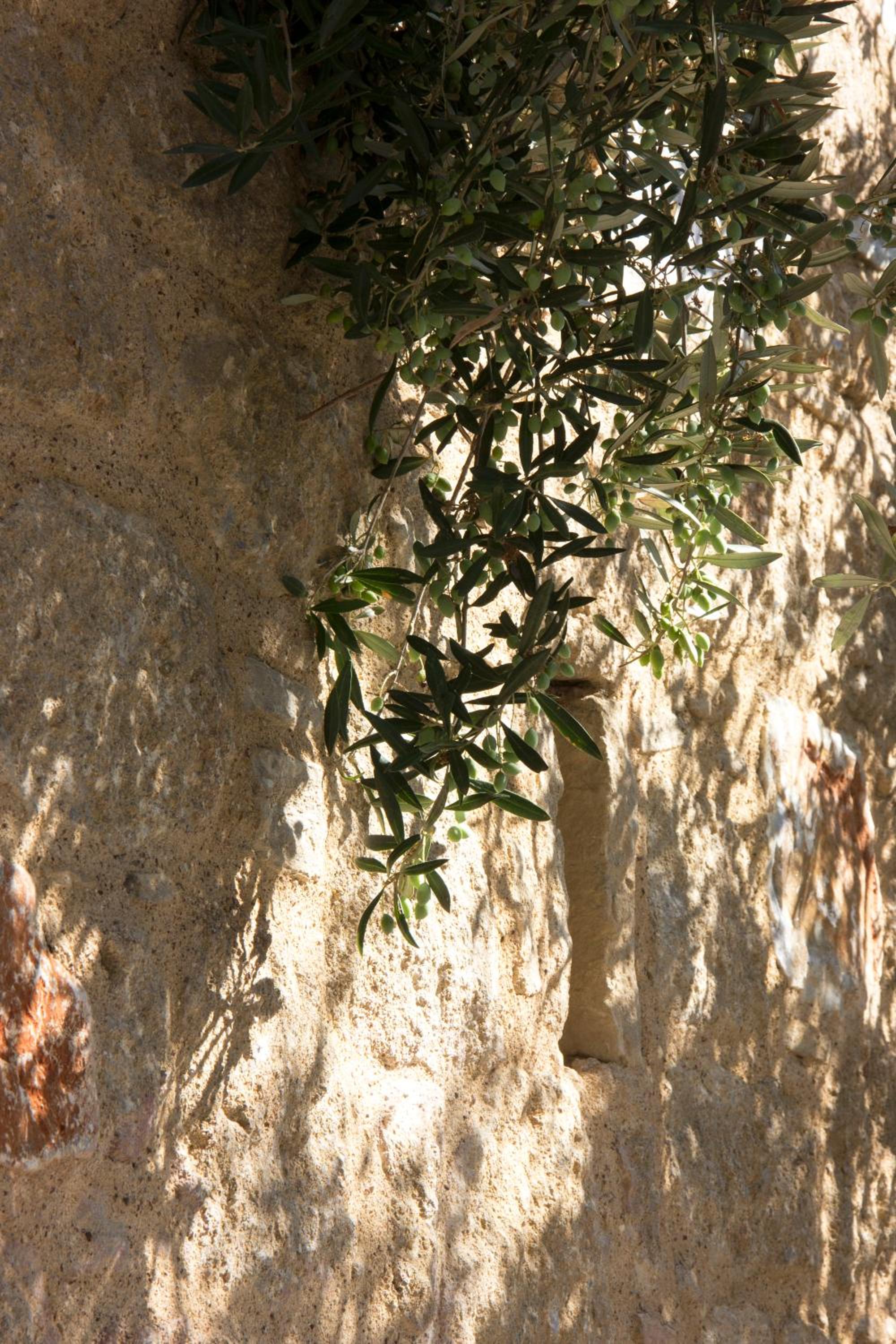 Photo 39