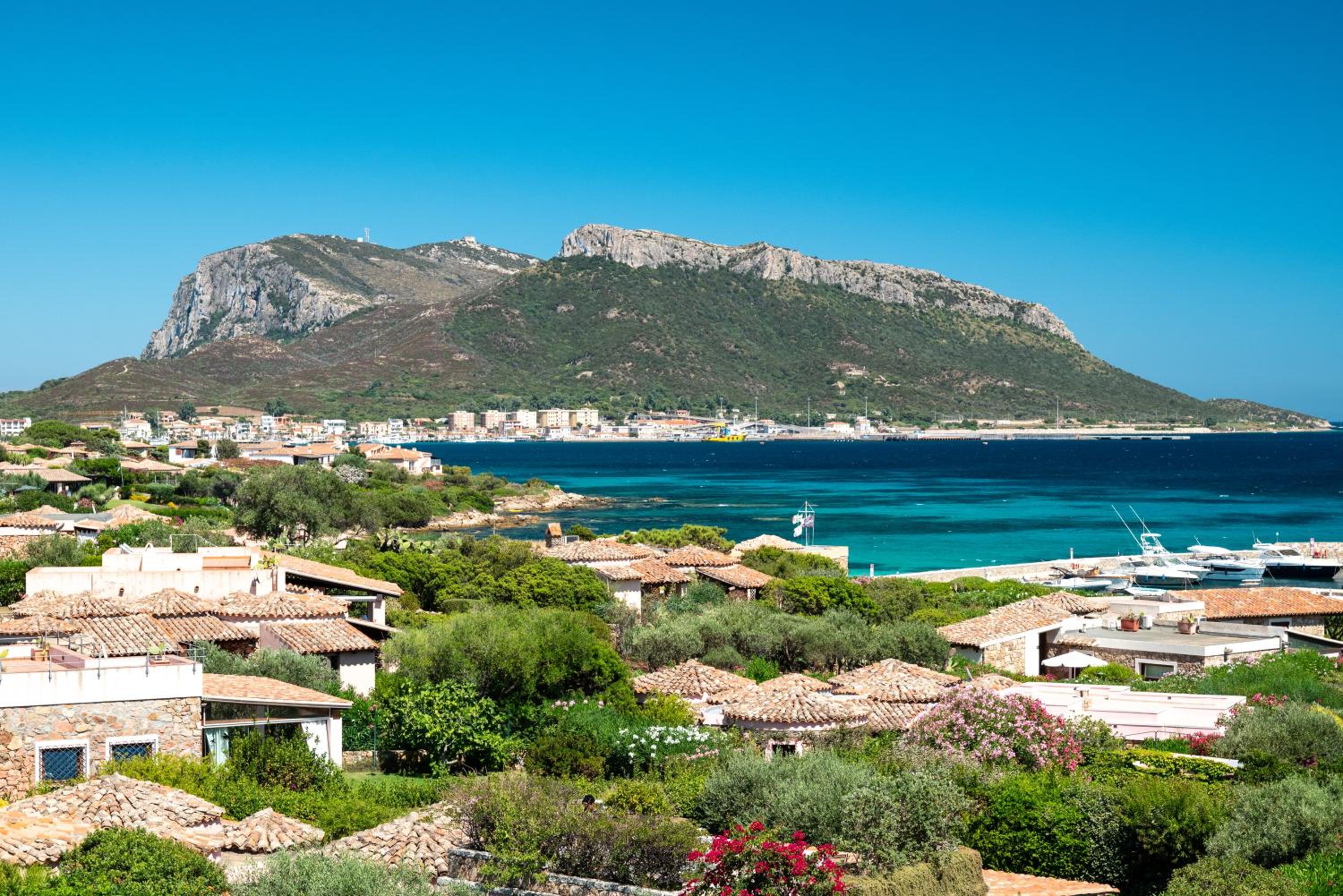 Le case del golfo - Your House in Sardinia view 5