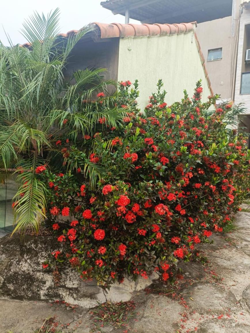 Pousada Bon Vivant