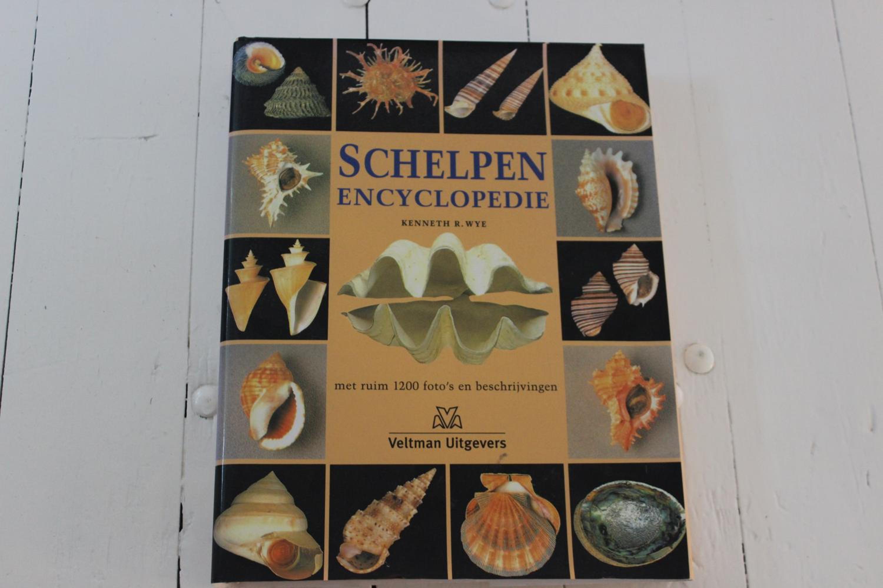 Klein Oldenburg, photo 33