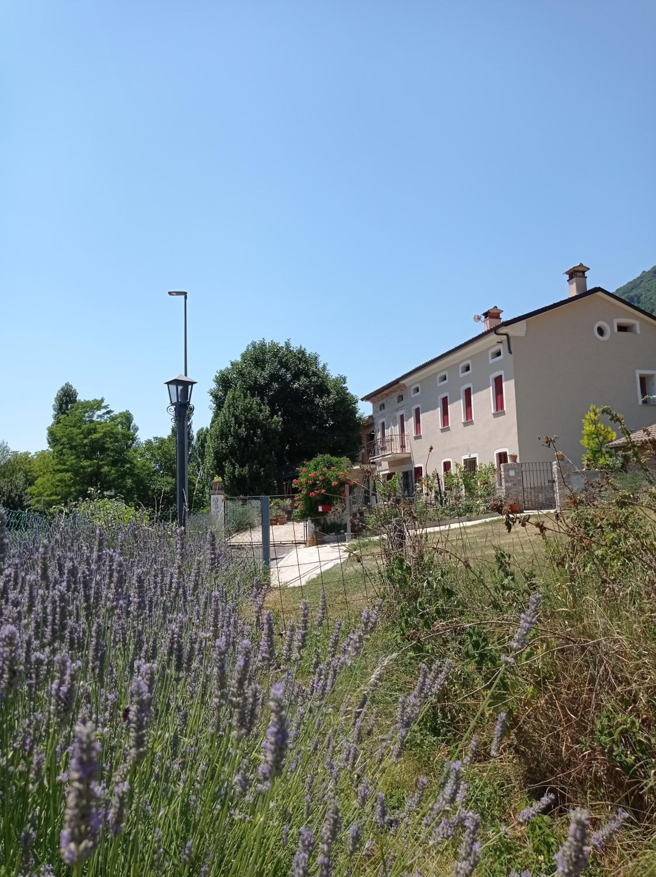 B&B Al Giardino dei Laghi view 3