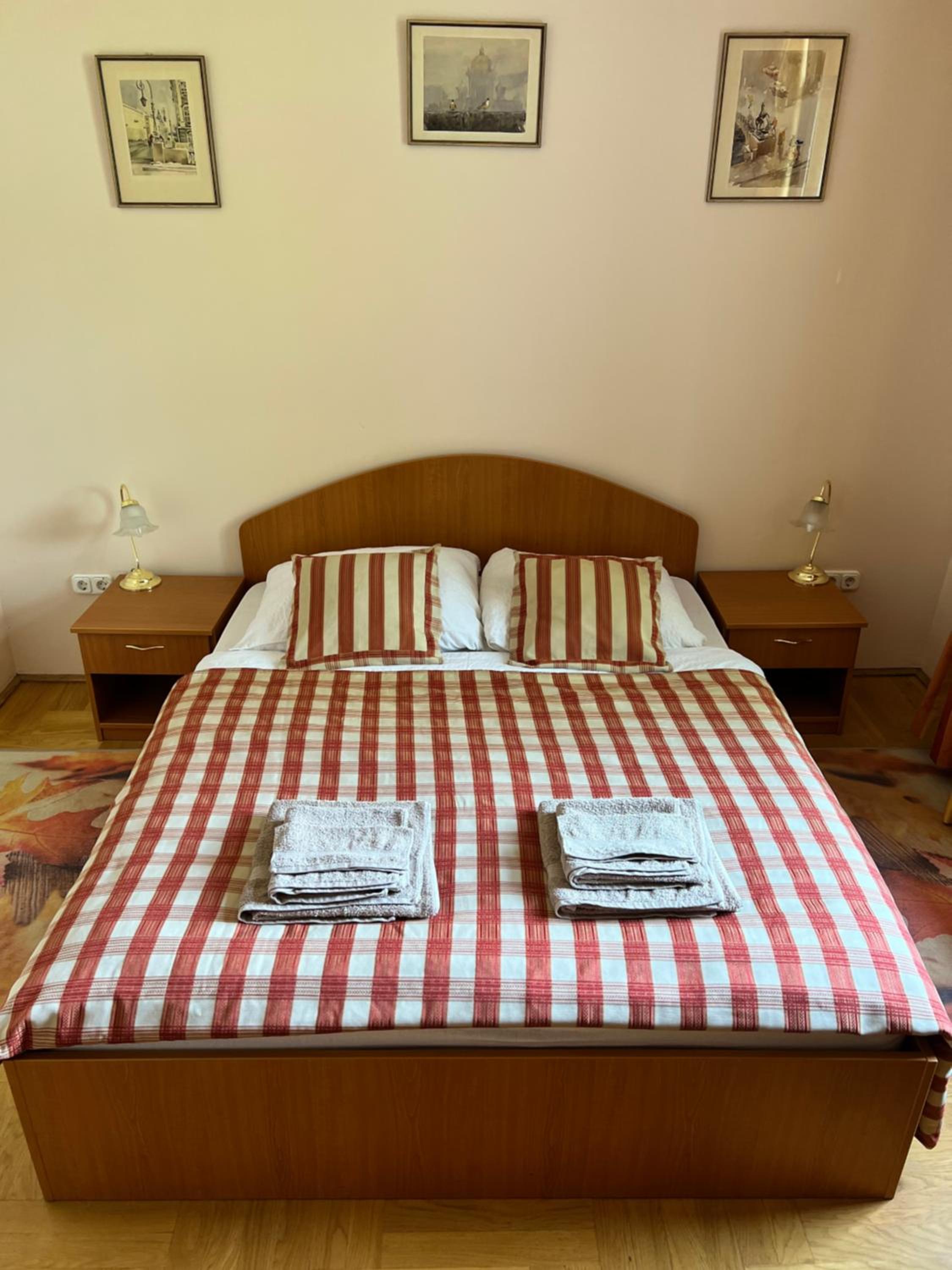 Party Villa Holiday Rent Balatonfoldvar view 4