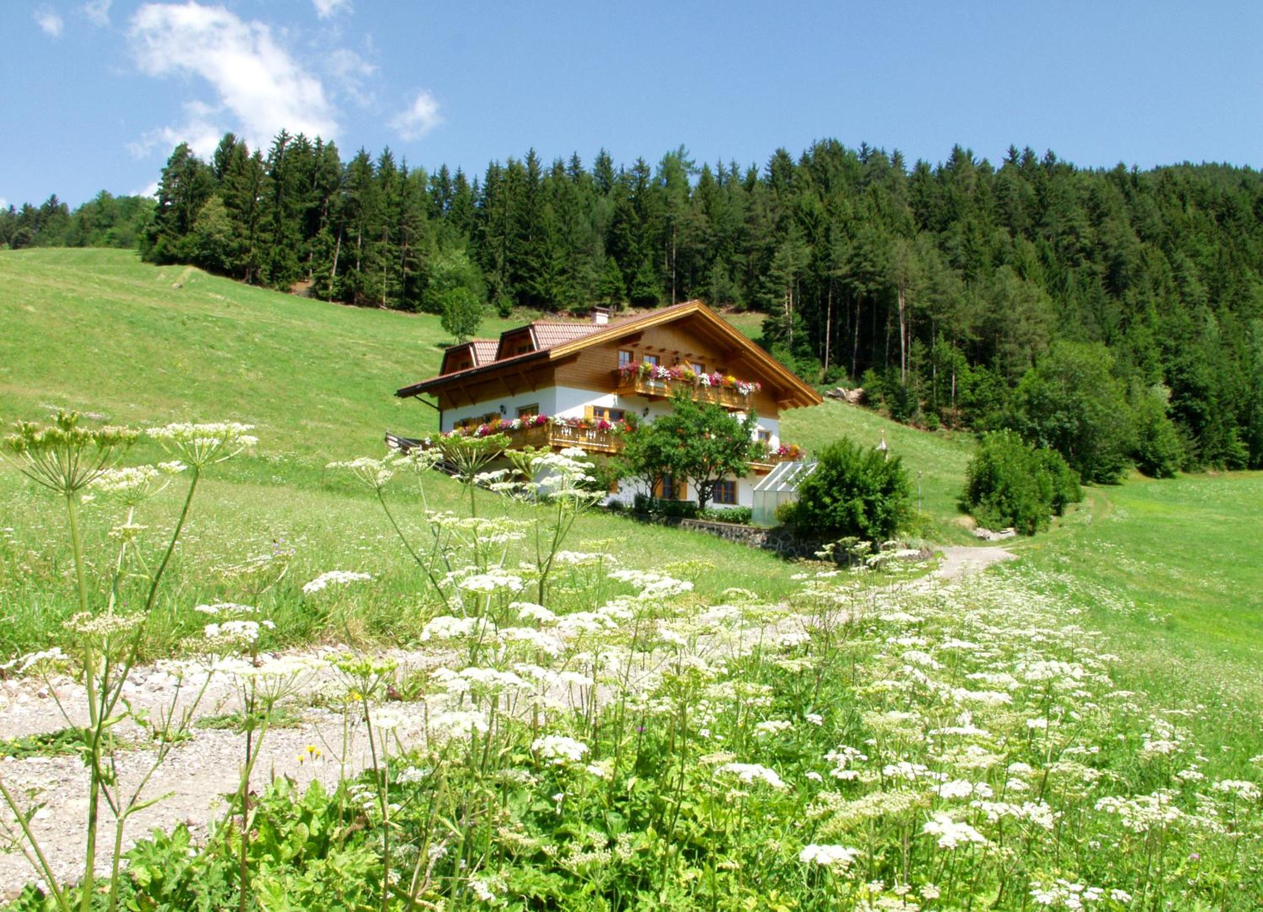 Bergblick App Lärche view 4