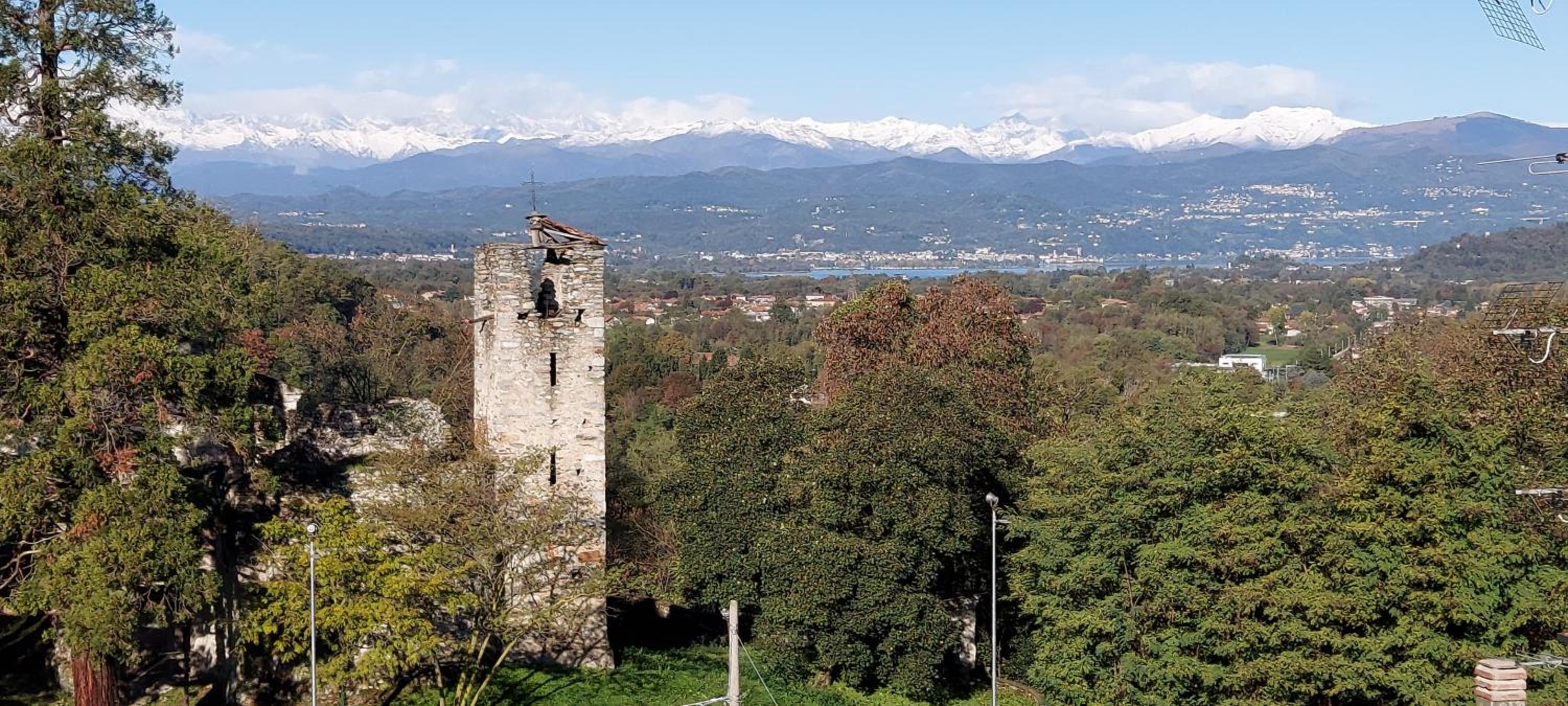 IL TORRINO