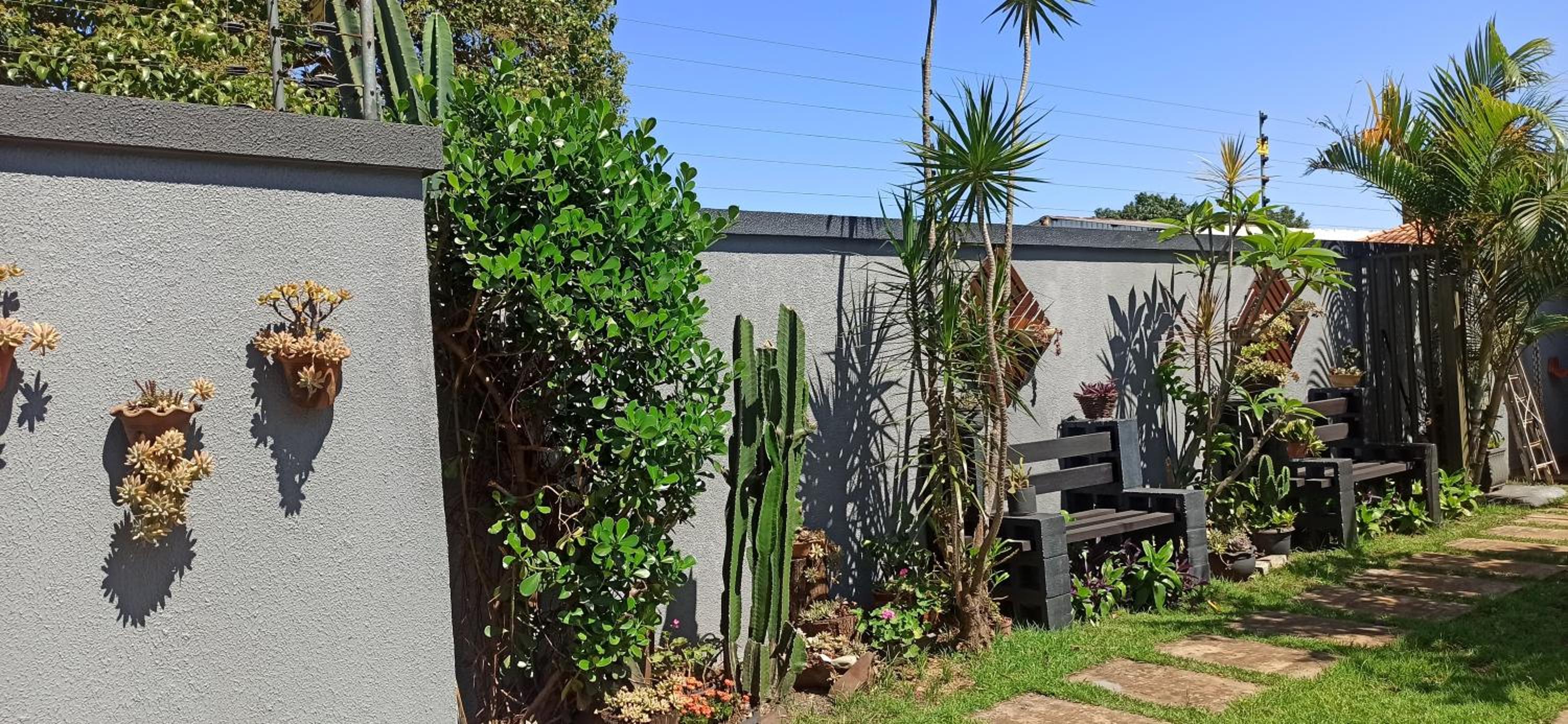 garden