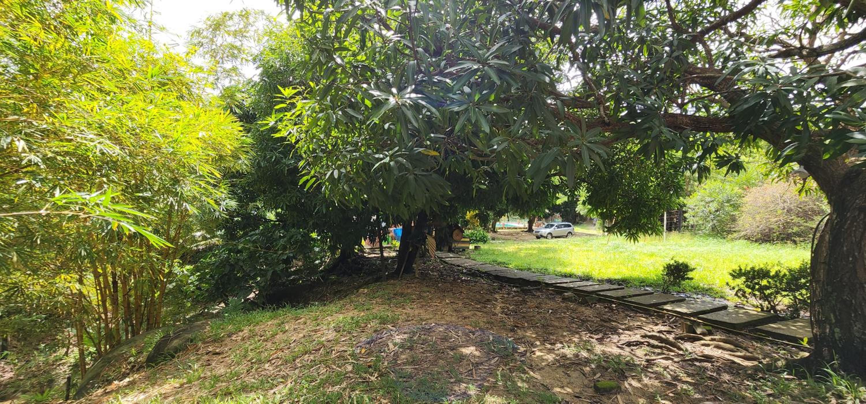 Hostel Finca La Gordita view 2
