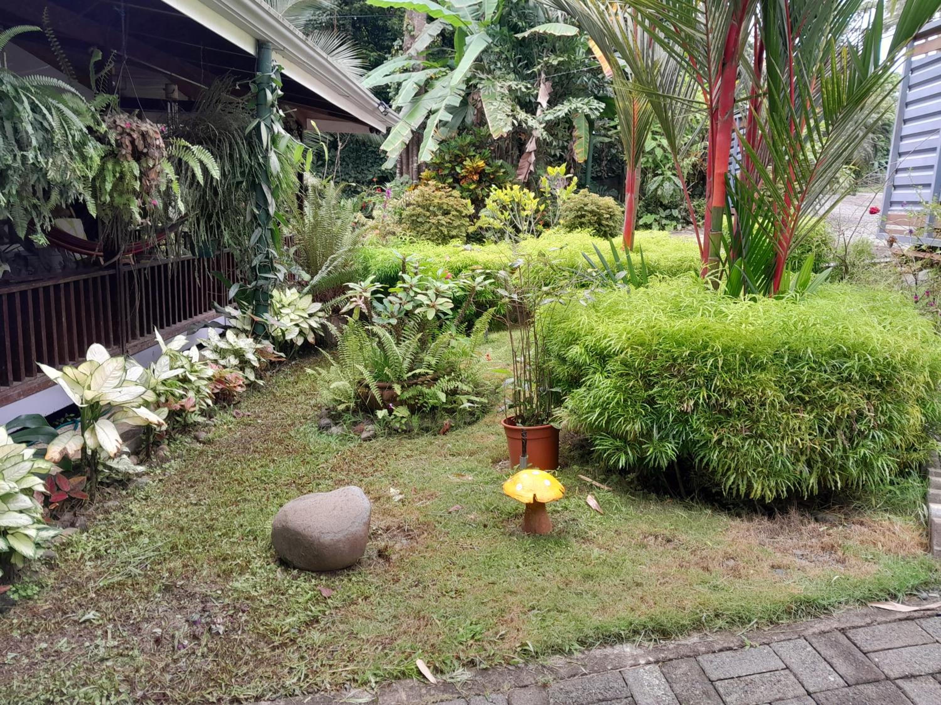 Casas Guaney, full furnished studios!