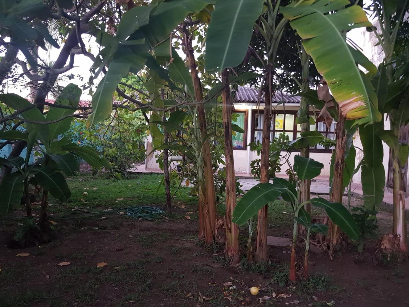 Casa Ilha de Itaparica