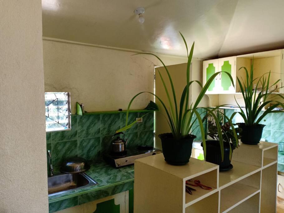 LJRC HOMESTAY view 4