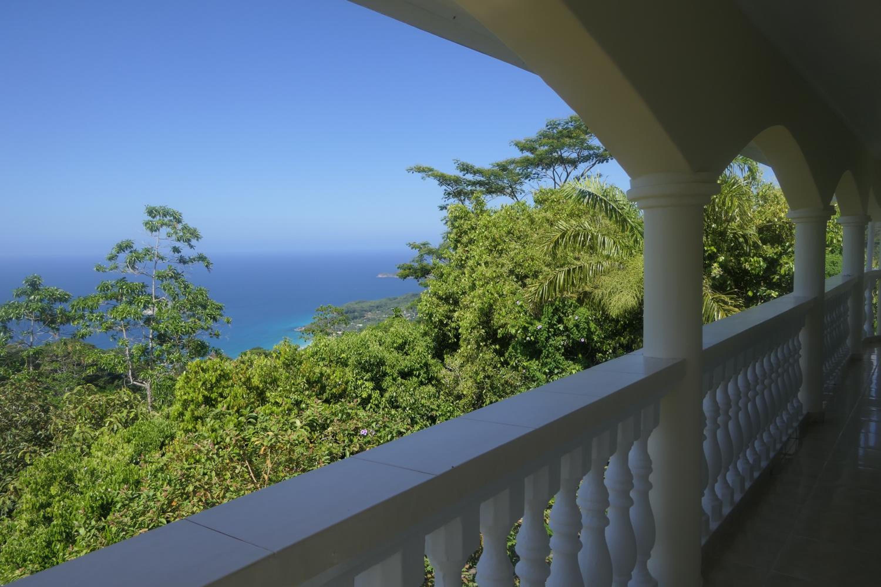 Tropical Garden Self Catering view 5