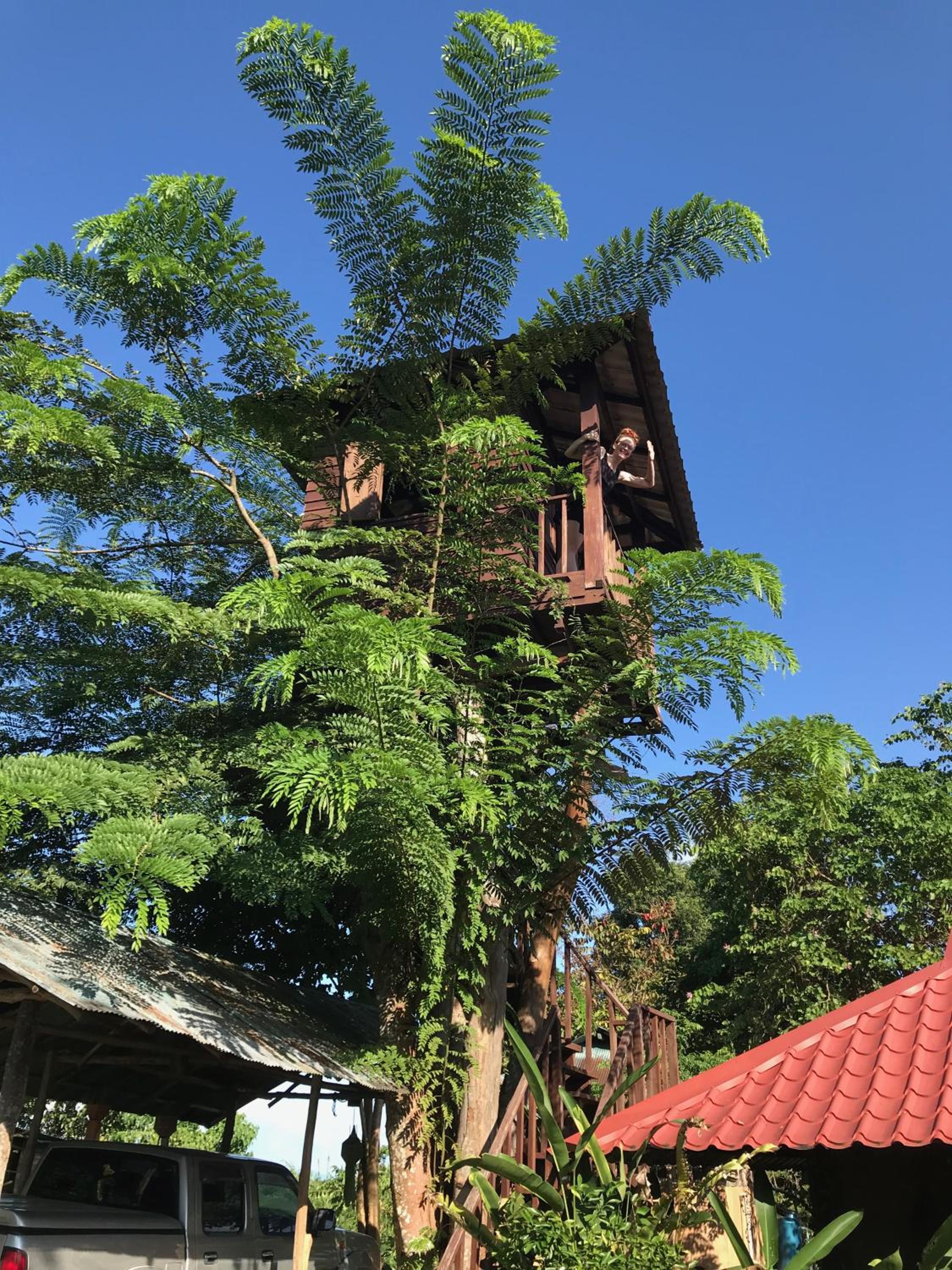 Hotel Mae Chan Treehouse with swimming pool