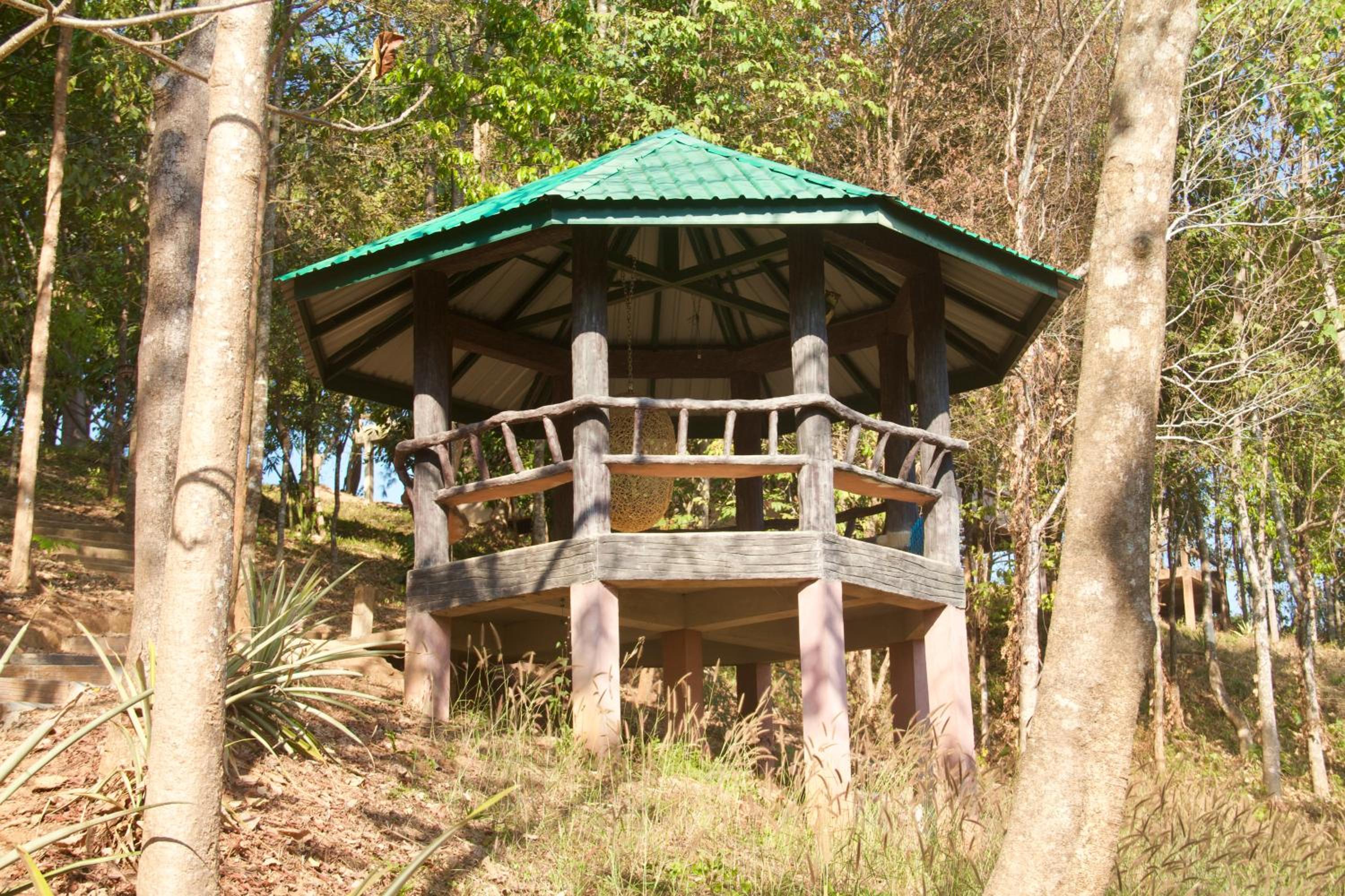 Photo 10