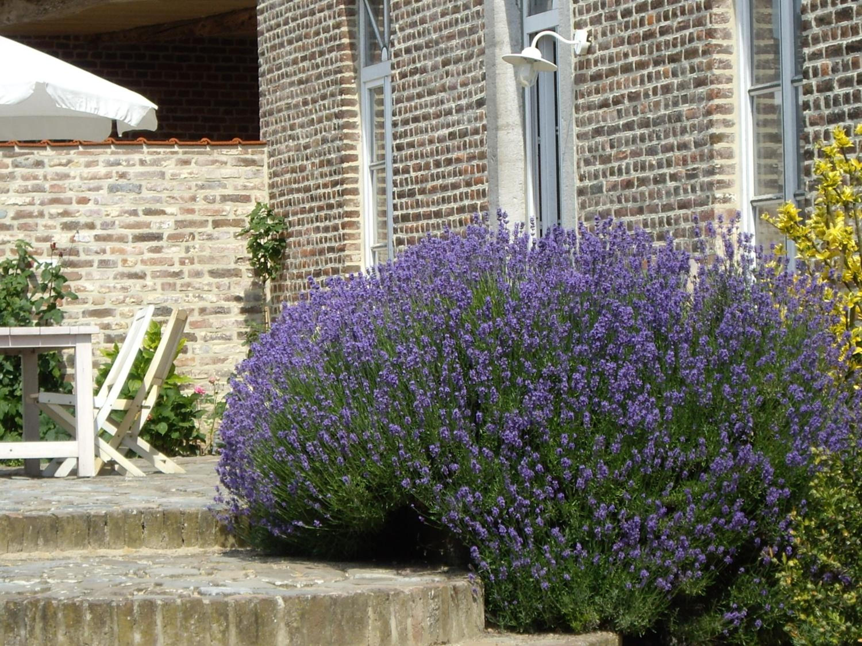 B&B Schoon Goed