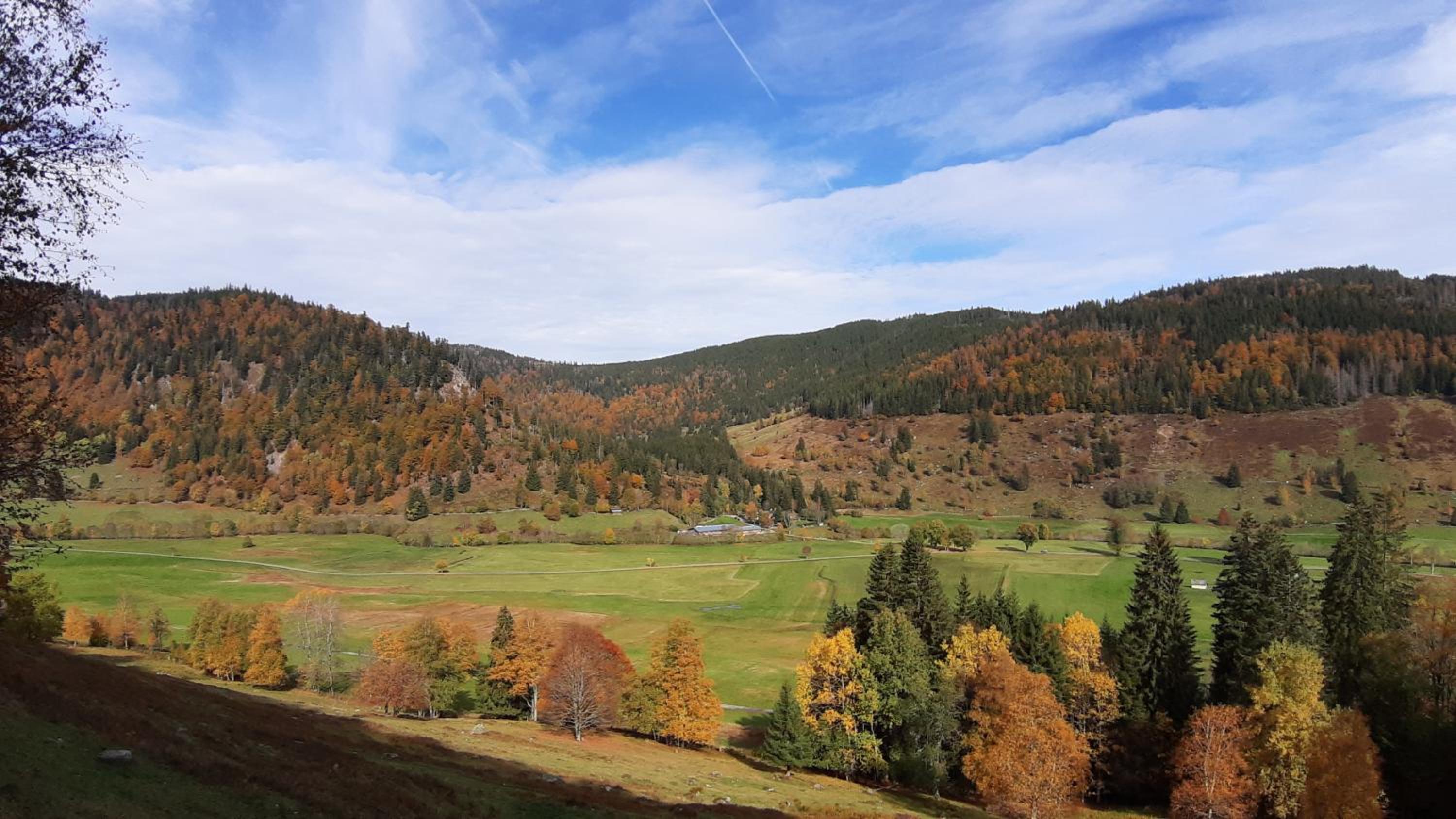 Daheim im Geissetal